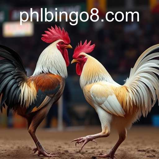 bingo8 Club